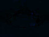 Fluorescence