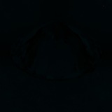 Fluorescence