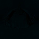 Fluorescence