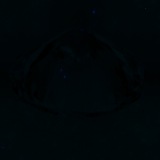Fluorescence
