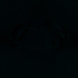 Fluorescence