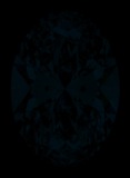 Face-up Fluorescence
