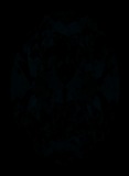 Face-up Fluorescence