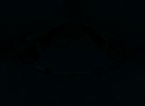 Fluorescence