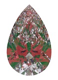 ASET White