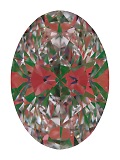 ASET White