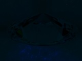 Fluorescence