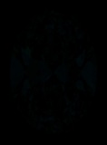 Face-up Fluorescence
