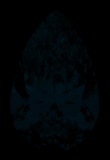 Face-up Fluorescence
