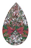 ASET White