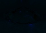 Fluorescence