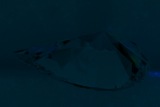 Fluorescence