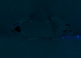 Fluorescence