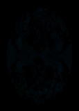 Face-up Fluorescence