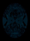 Face-up Fluorescence