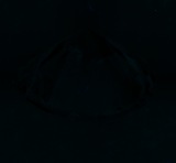 Fluorescence