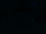 Fluorescence