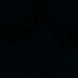 Fluorescence