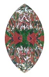 ASET White