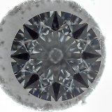 Darkfield ML
