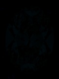 Face-up Fluorescence