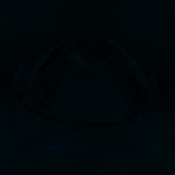 Fluorescence