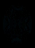 Face-up Fluorescence