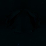 Fluorescence