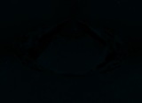 Fluorescence