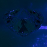 Fluorescence