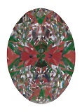 ASET White