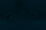 Fluorescence