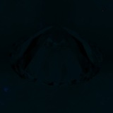 Fluorescence