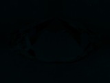 Fluorescence