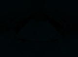 Fluorescence