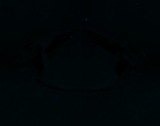 Fluorescence