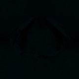 Fluorescence