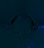 Fluorescence