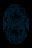 Face-up Fluorescence