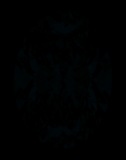 Face-up Fluorescence