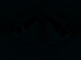 Fluorescence