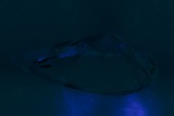 Fluorescence