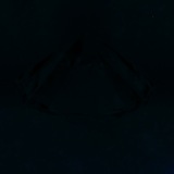 Fluorescence