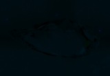 Fluorescence