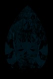 Face-up Fluorescence