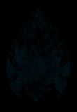 Face-up Fluorescence