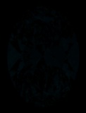 Face-up Fluorescence