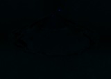 Fluorescence