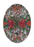 ASET White