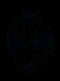 Face-up Fluorescence